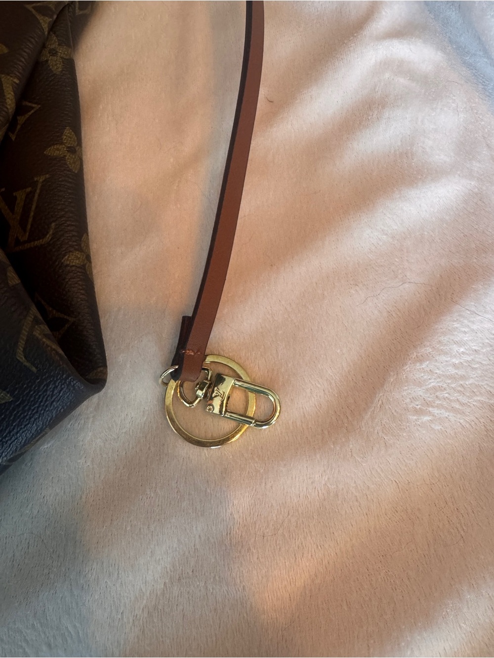 Louis Vuitton Monogram Canvas Shoulder Bag in Brown and Tan - Picture 10 of 10